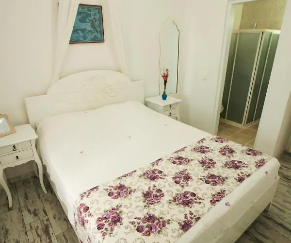 Hotel Aisem By Hire 2*